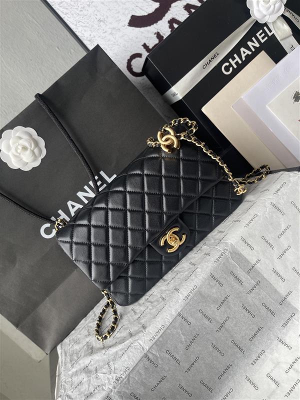 2026131214215120 620